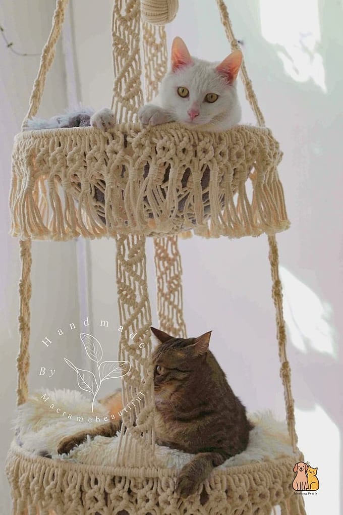 Two-Tier Cat Tower Hammock Combo
