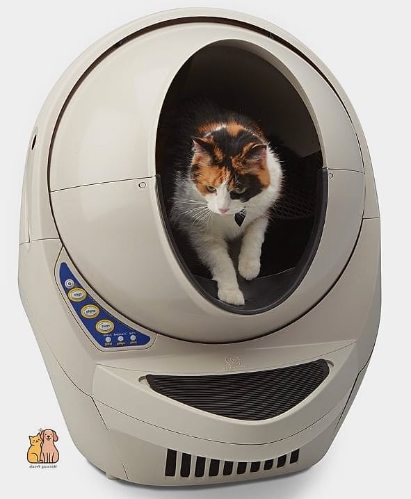 The Two-Tier Litter Box Cabinet