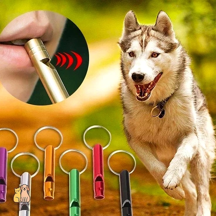 19 Adorable Best Dog Whistles Guaranteed to Make You Smile 15 The Two-Tone Recall Whistle