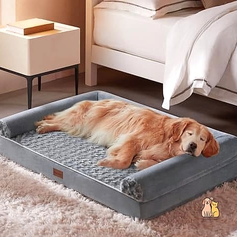The Ultimate Multi-Pet Sleeping Station