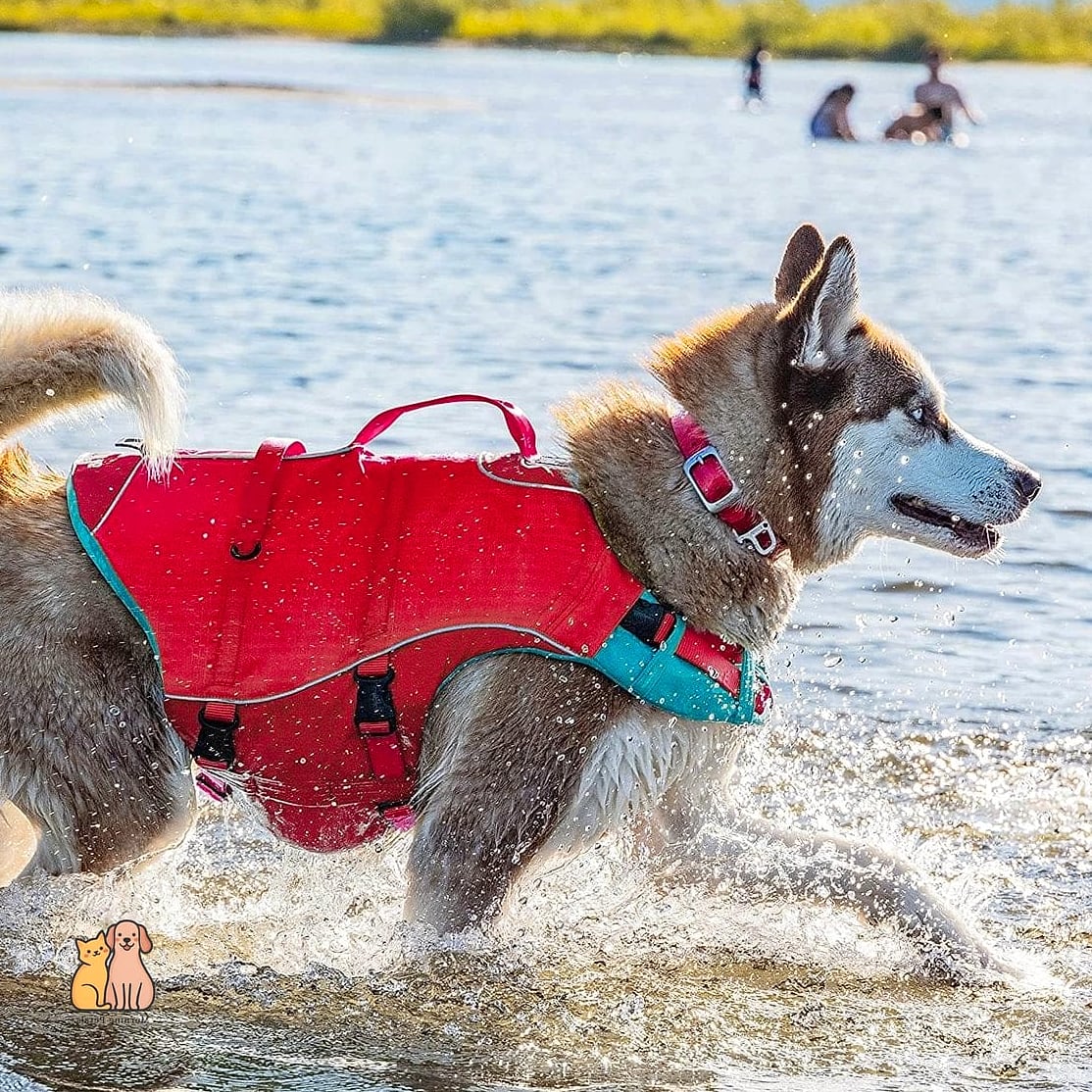 The Ultra-Lightweight Puppy Vest
