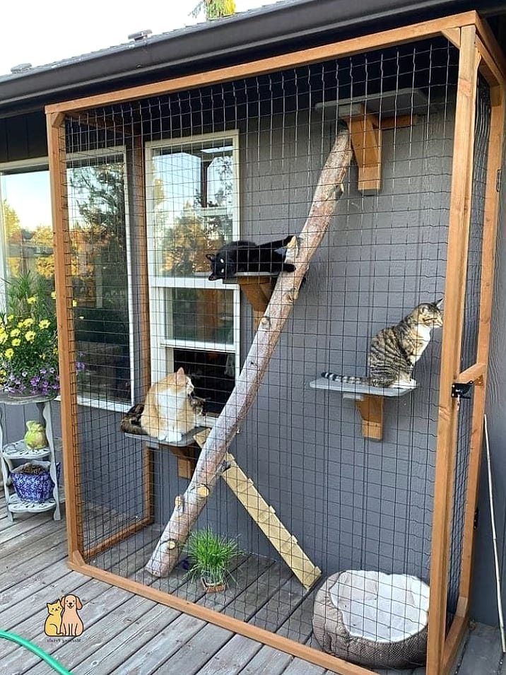 The Under-Deck Catio