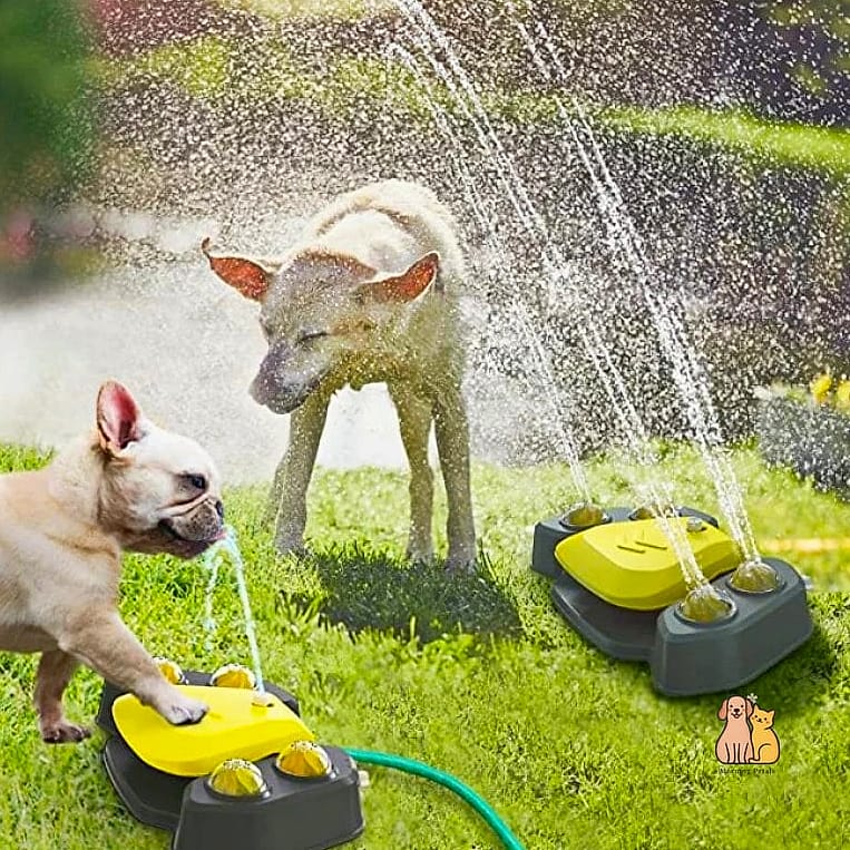 The Underground Sprinkler Cool-Down Zone