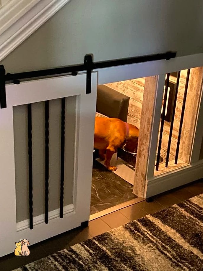 The Under-Stair Dog Door