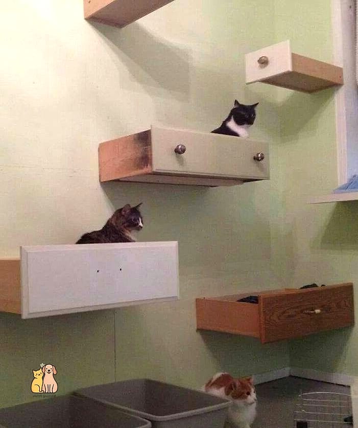 The Under-Stair Nook Tower