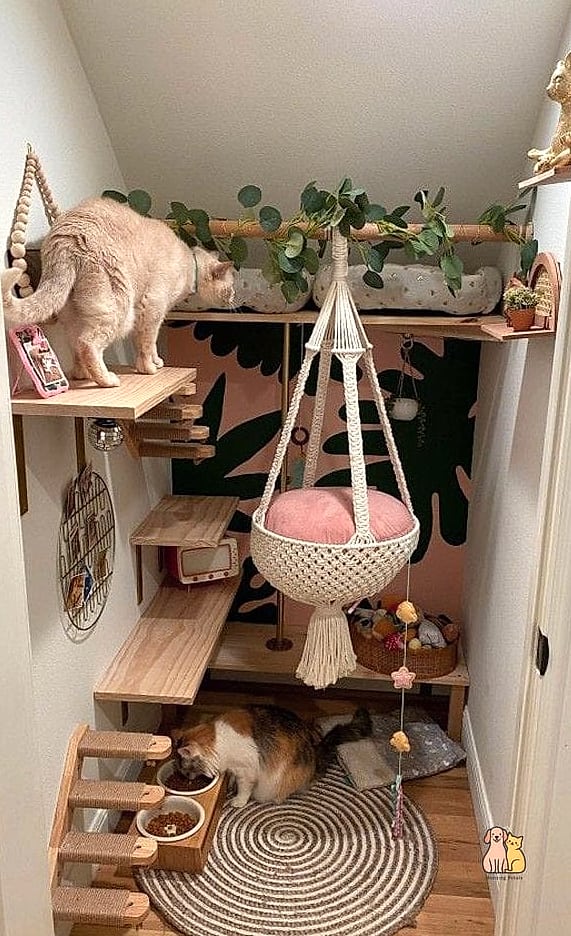 45 Easy Diy Cat Condo to Try Right Now 25 The Under-Stair Cat Condo