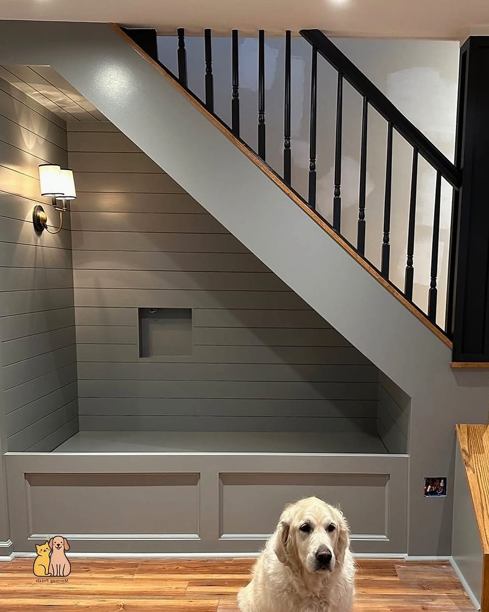 Under-the-Stairs Dog Feeding Corner