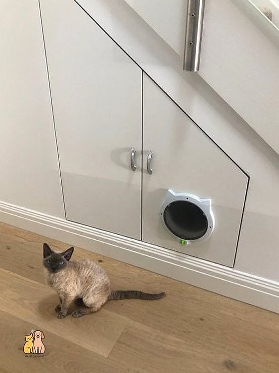 The Under-Stairs Cat Playground