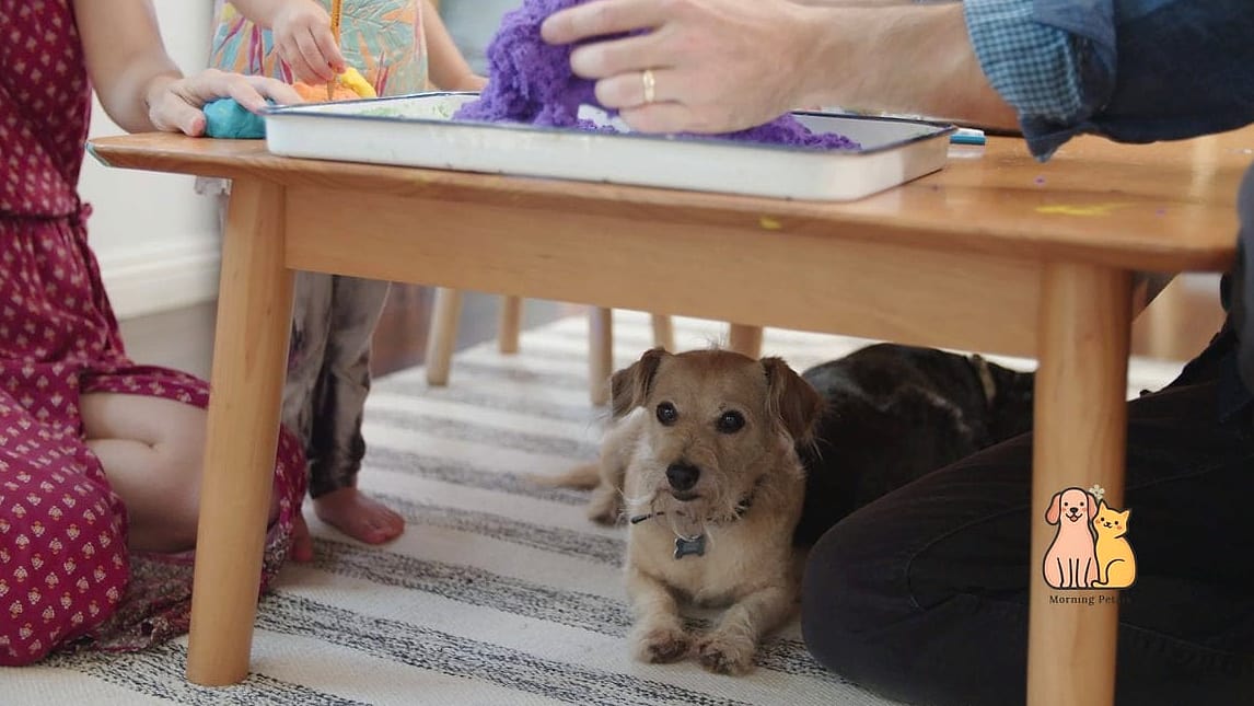 The Under-the-Table Dog Nook Bed