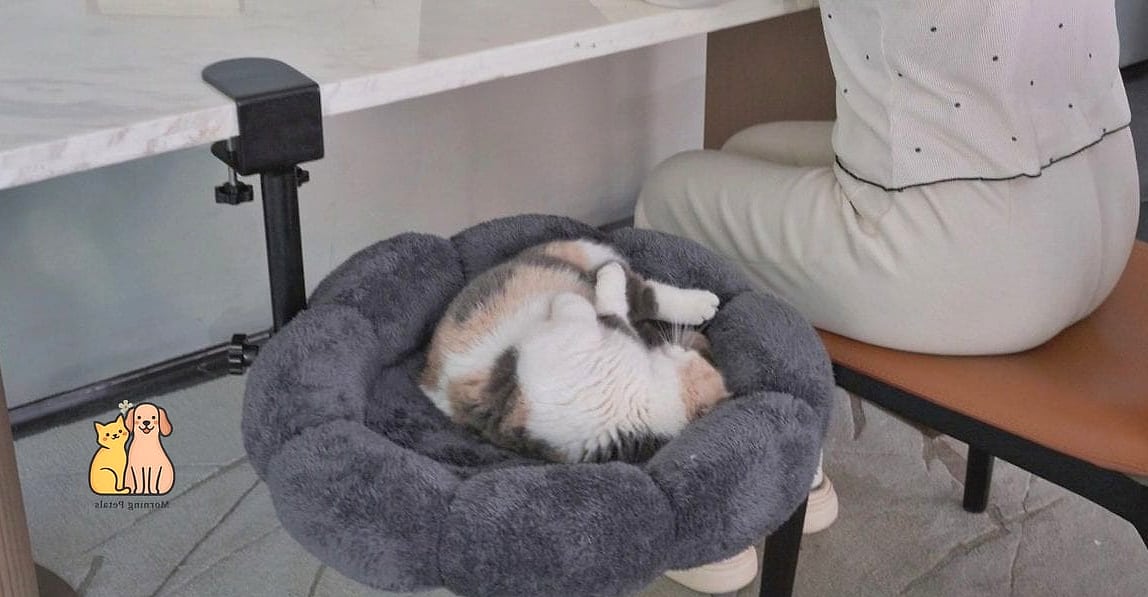 Under-Table Hanging Cat Cot
