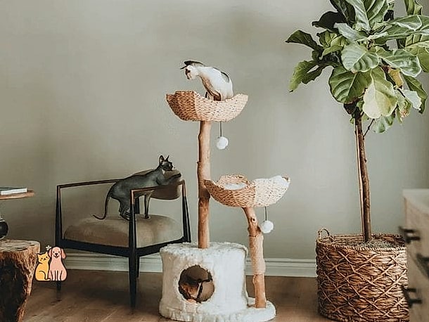 The Velvet Cat Cave Bed