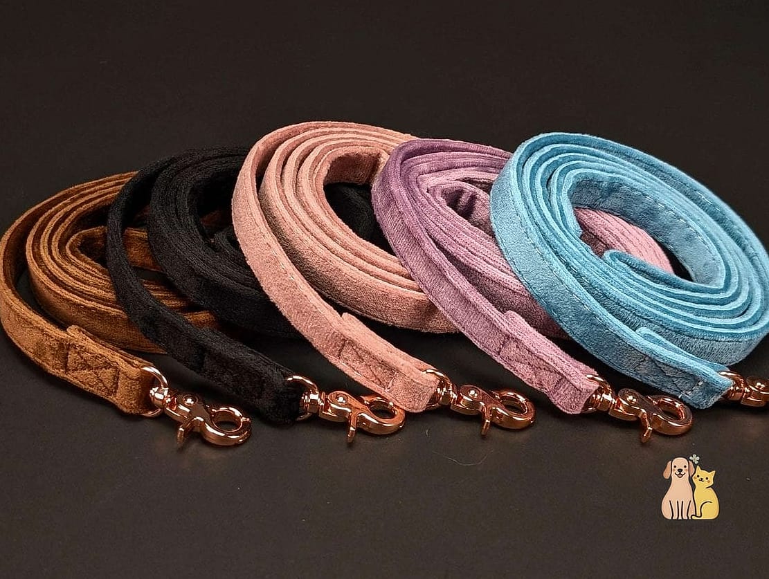 The Velvet Leash for a Touch of Elegance