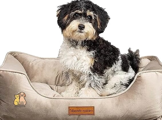 The Velvet Tufted Pet Palace