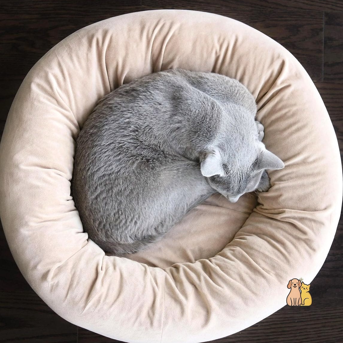 The Velvet Tufted Bed