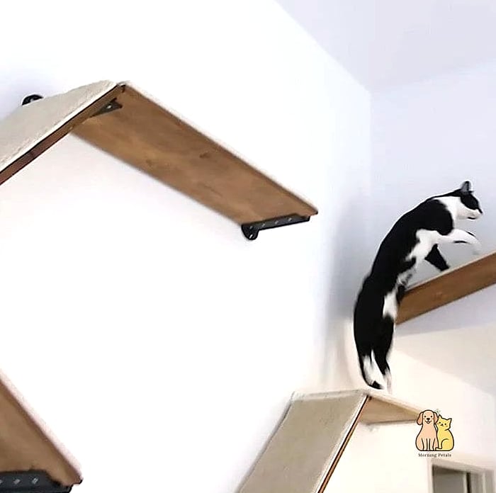 30 Creative Diy Cat Scratchers That Will Inspire You 18 Vertical Carpet Tower