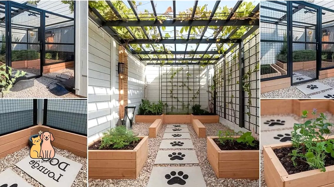 A Vertical Cat-Style Climbing Structure (Yes, for Dogs Too)