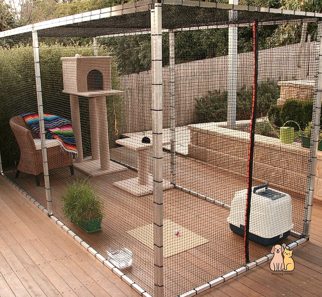 Vertical Cat Tree to Fence Bridge