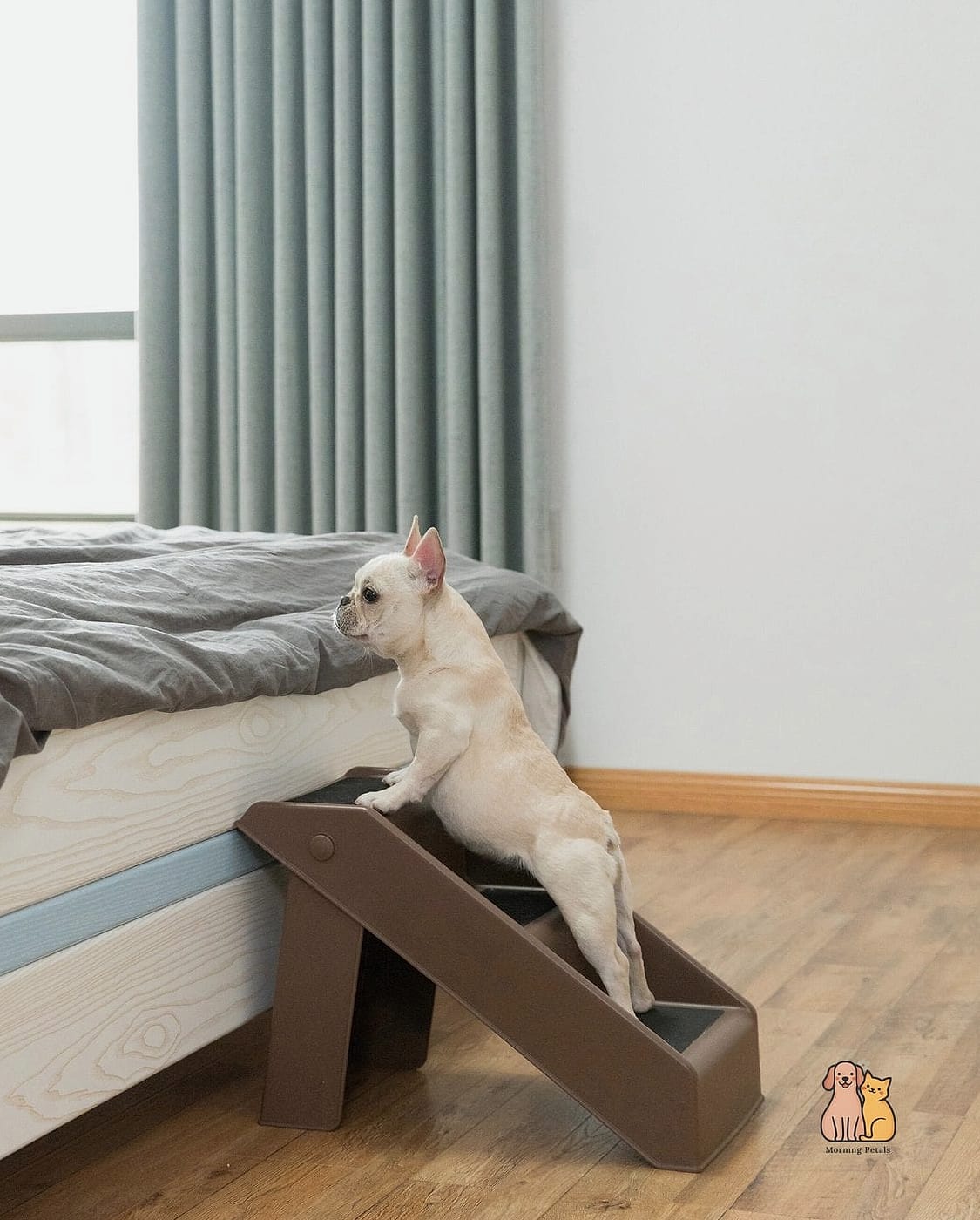 15 Brilliant Dog Wall Ideas Worth Pinning Immediately 7 A Vertical Dog Ramp or Stair Display Wall