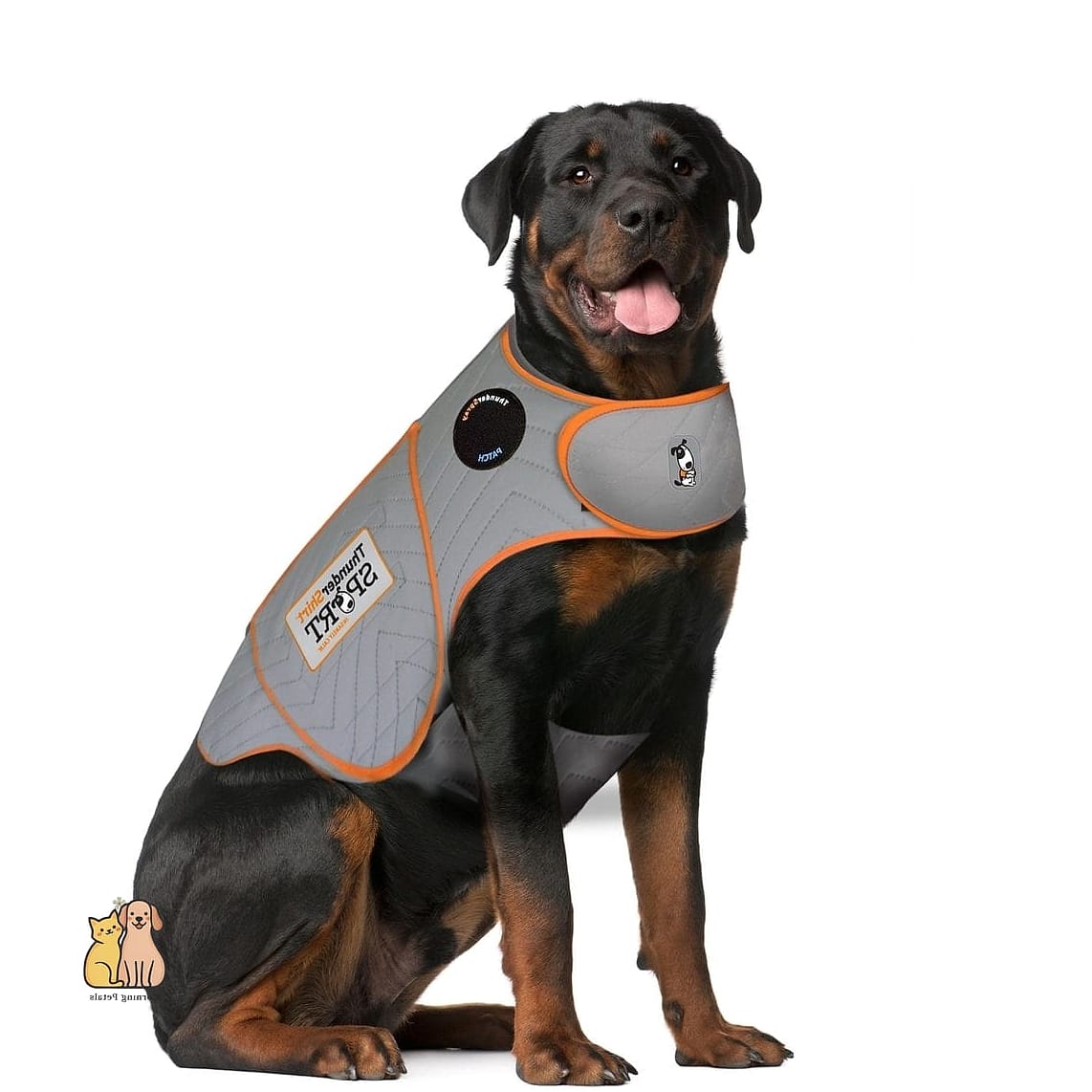 The Vest with a Calming Pressure Wrap