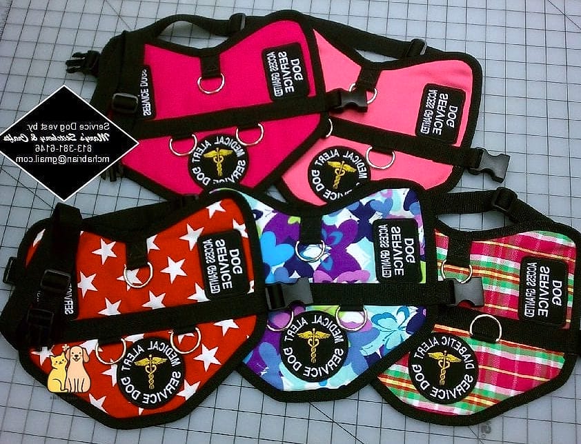 The Vest Designed for Small Breed Dogs