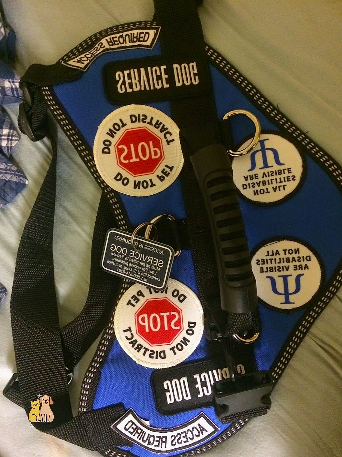 The Vest with Front and Back Patches