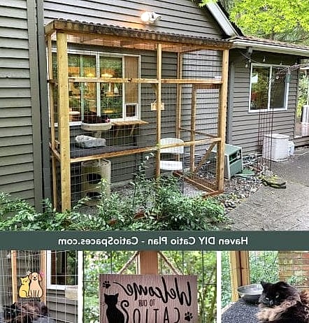The Vintage Birdcage-Inspired Catio