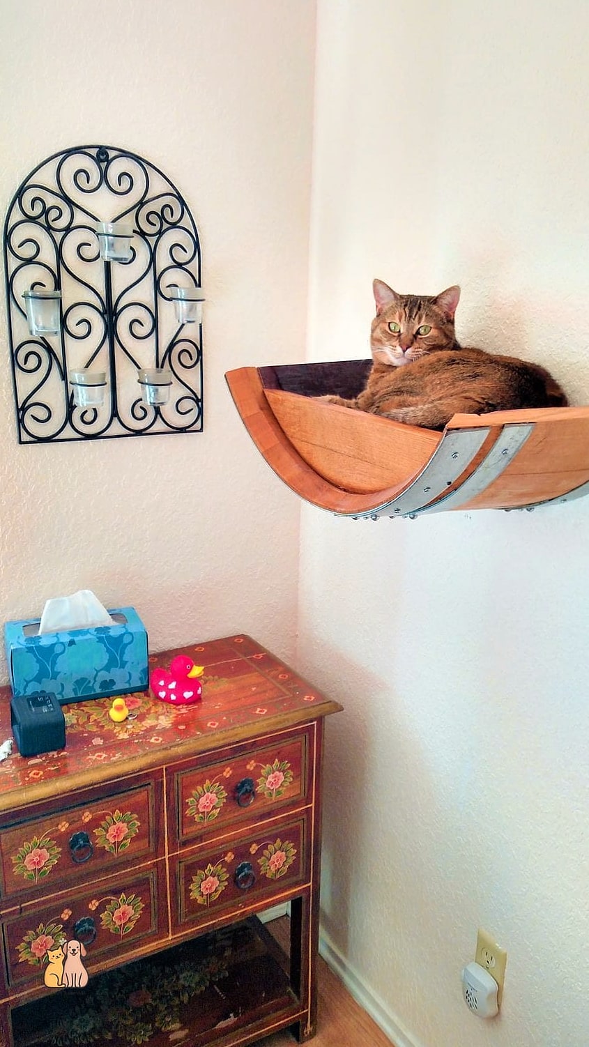 Vintage Crate Hanging Bed