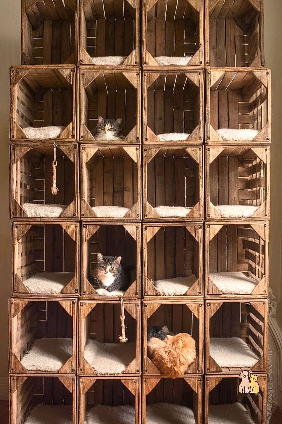 The Vintage Crate Shelf