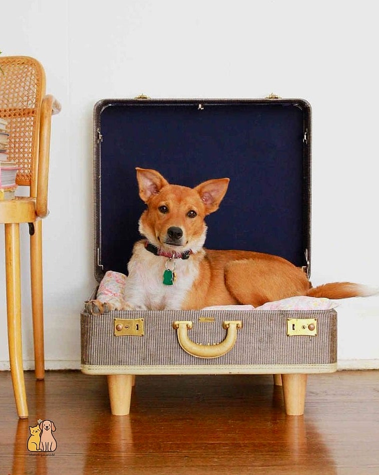 A Vintage Suitcase Bed