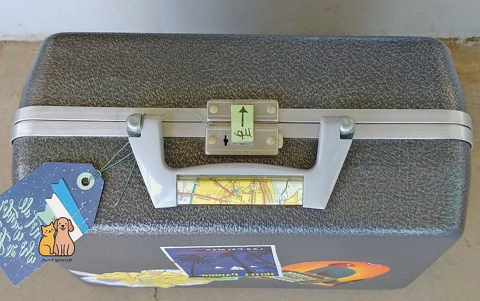 The Vintage Suitcase Bed