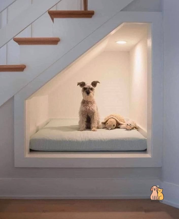 The Vintage Trunk-Style Stairs