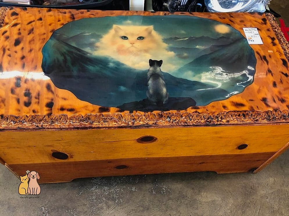 The Vintage Trunk-Style Cat Bed