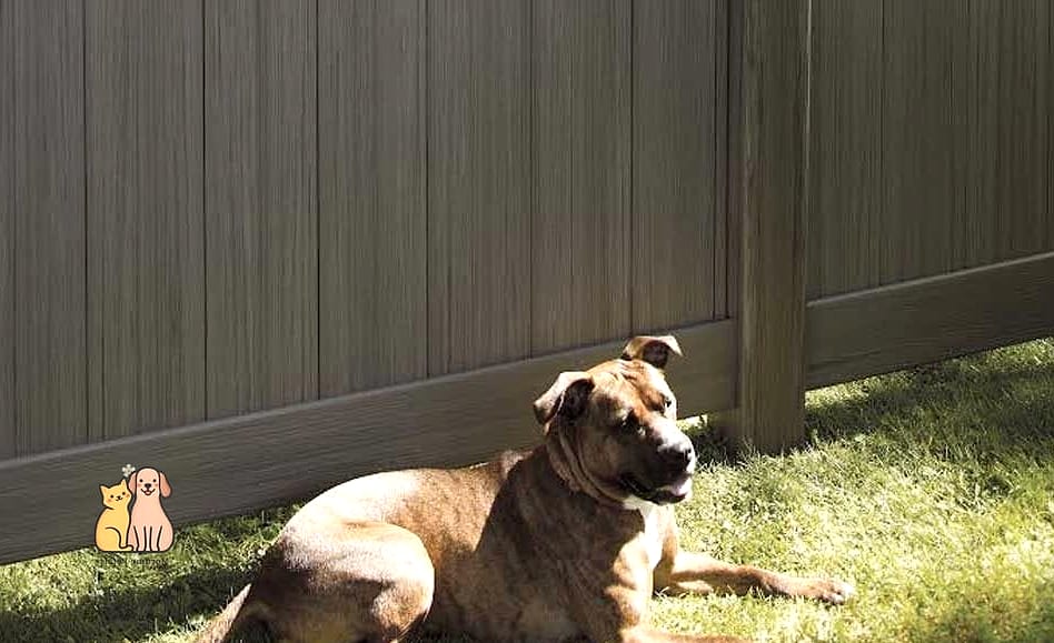 Vinyl Privacy Fencing