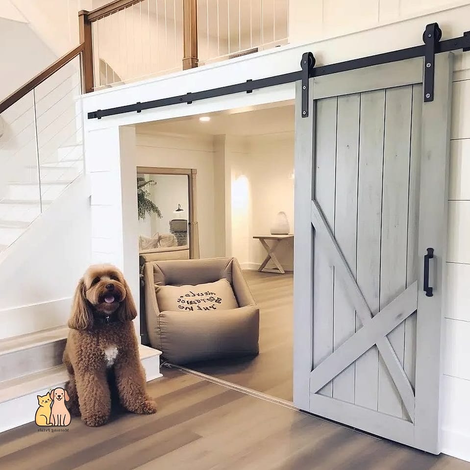 The Walk-In Closet Conversion