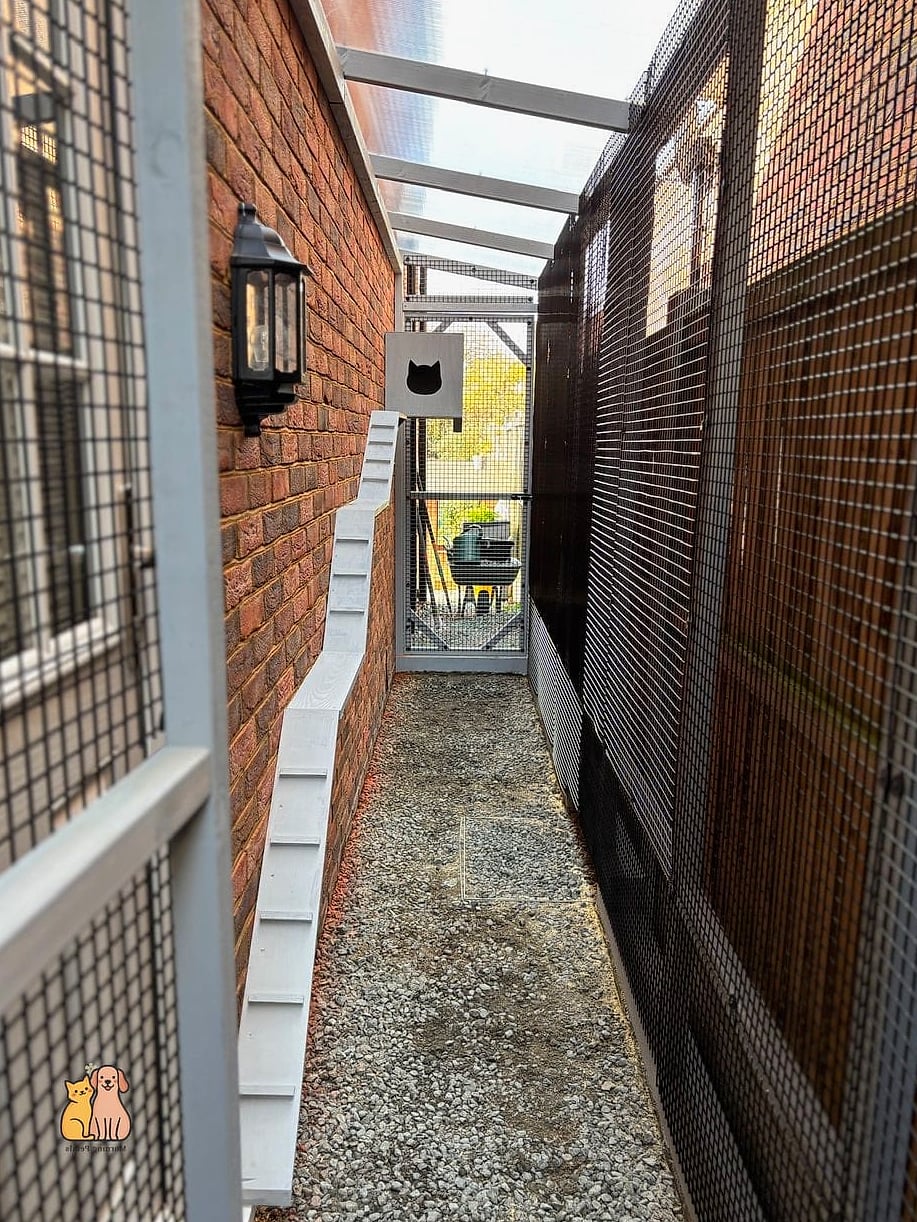 The Walk-In Human-Friendly Catio