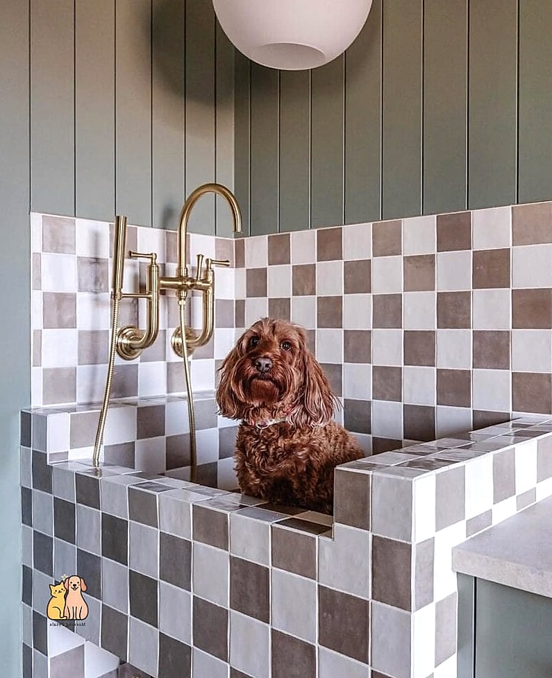 The Wall-Mounted Fold-Down Tub