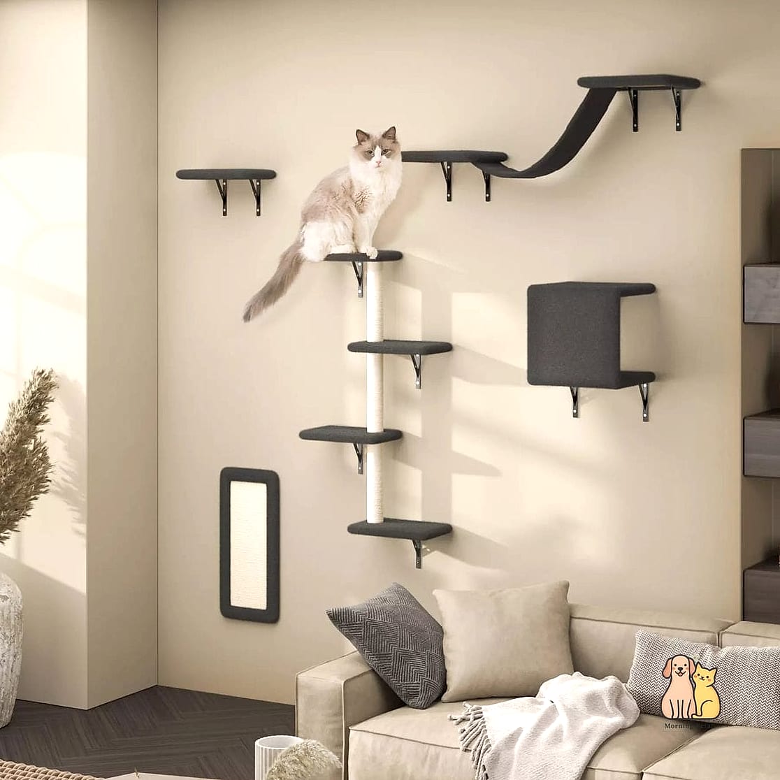 15 Brilliant Dog Wall Ideas Worth Pinning Immediately 10 Wall-Mounted Cat-Style Shelves, Reworked for Dogs