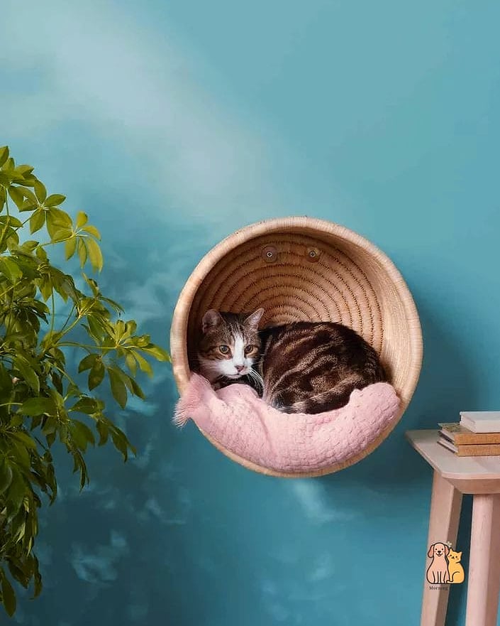 Wall-Mounted Corner Hammock