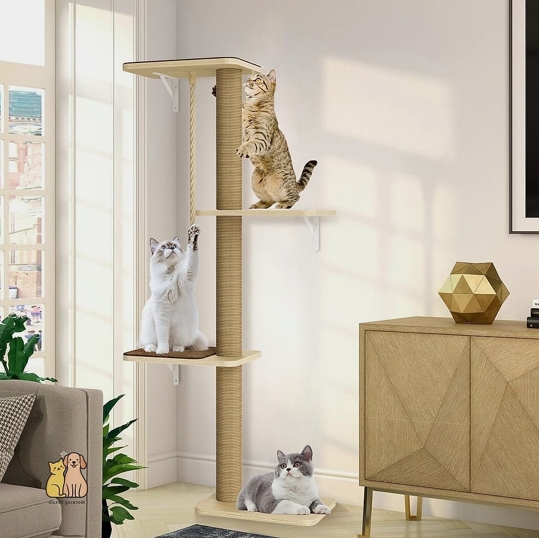 The Wall-Mounted Shelf Climbing System