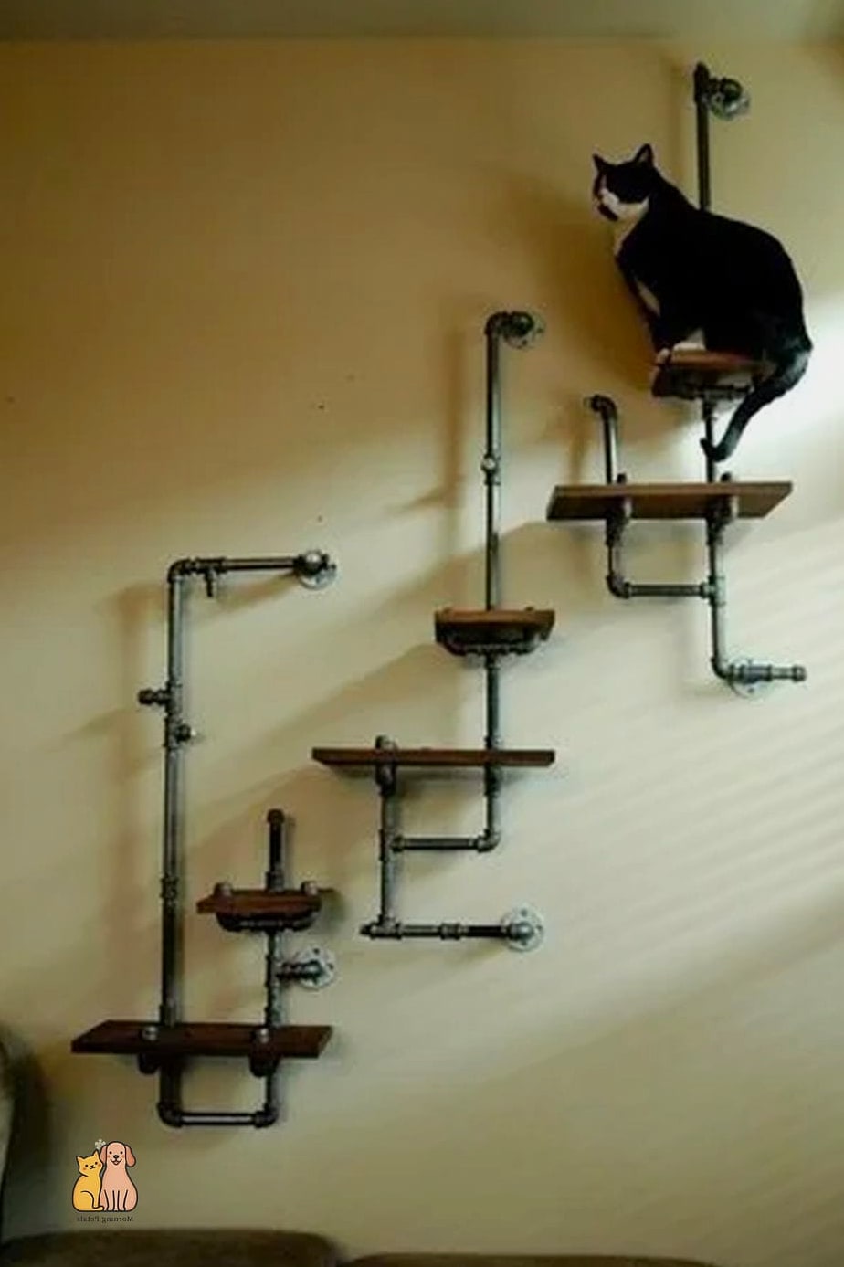 The Wall-Mounted Cat Shelf Trail