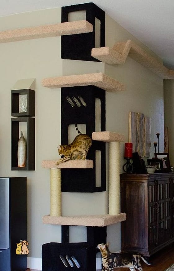 The Wall-Mounted Cat Shelf Ladder