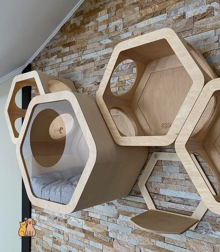 The Wall-Mounted Floating Cat House
