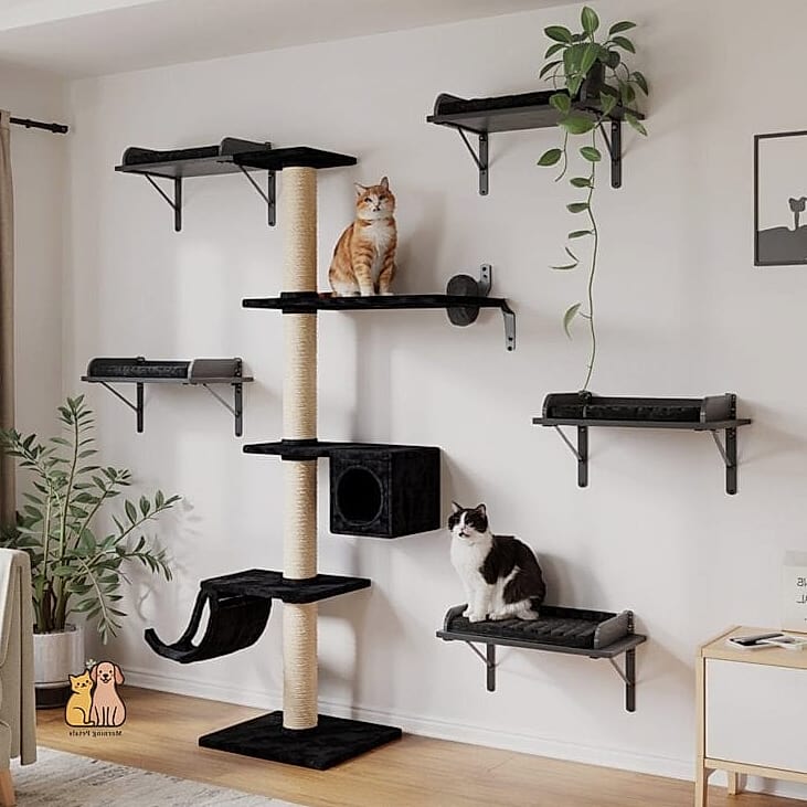 The Wall-Mounted Shelf Staircase