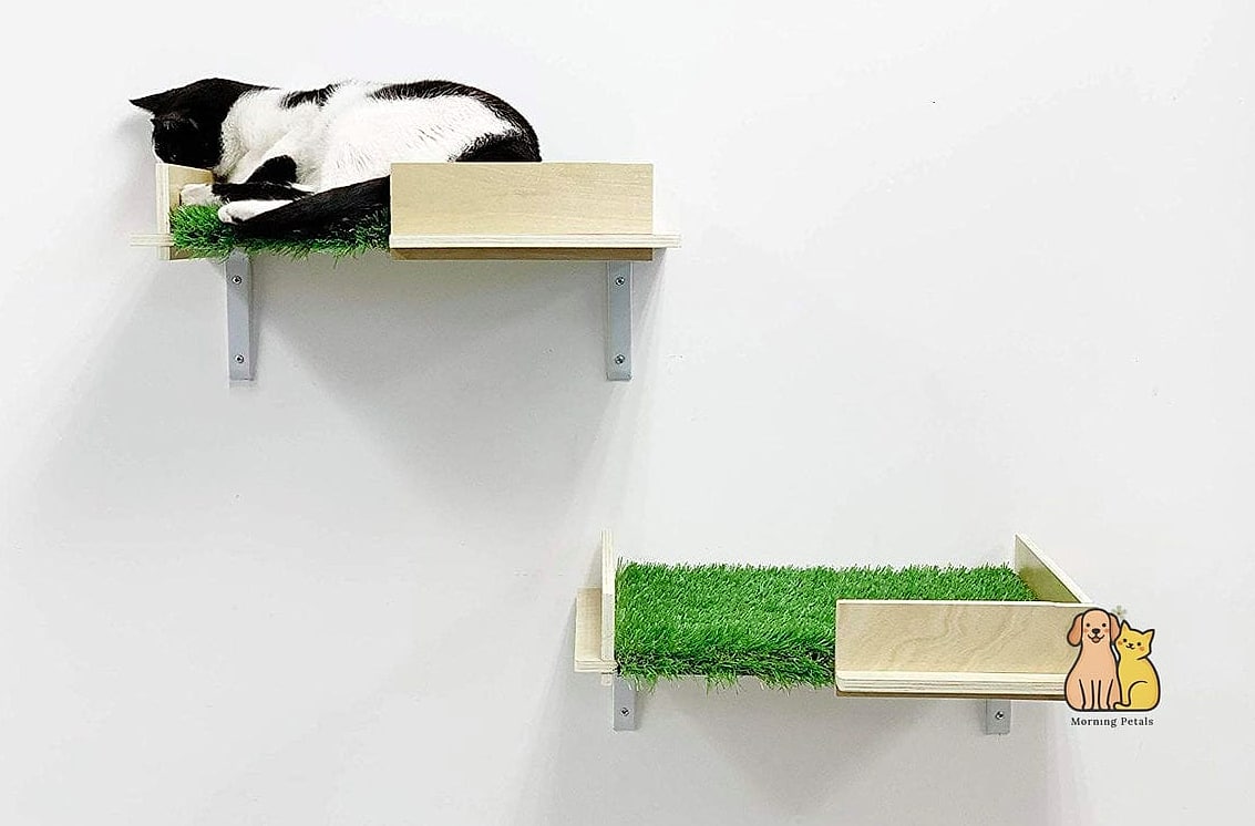 15 Gorgeous Cat Grass For Indoor Cats That Are Too Cute to Handle 13 Wall-Mounted Cat Grass Planter Near the Cat Shelf