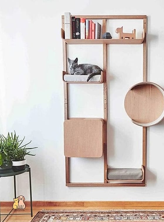 50 Budget-friendly Cat Food Station Ideas Your Pet Will Beg For More 22 The Wall-Mounted Fold-Down Shelf