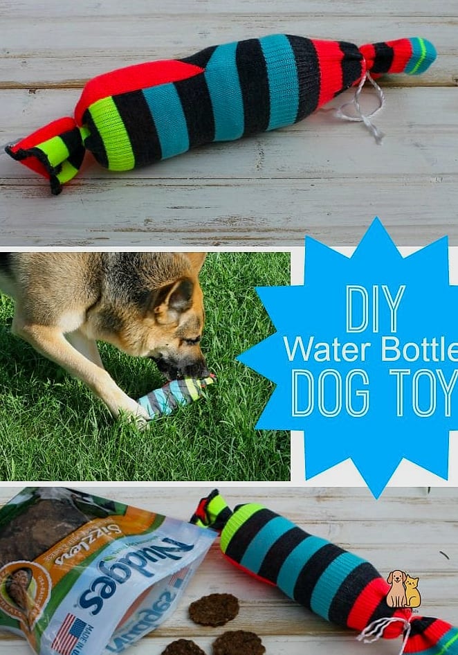 The Water Bottle Crunch Toy