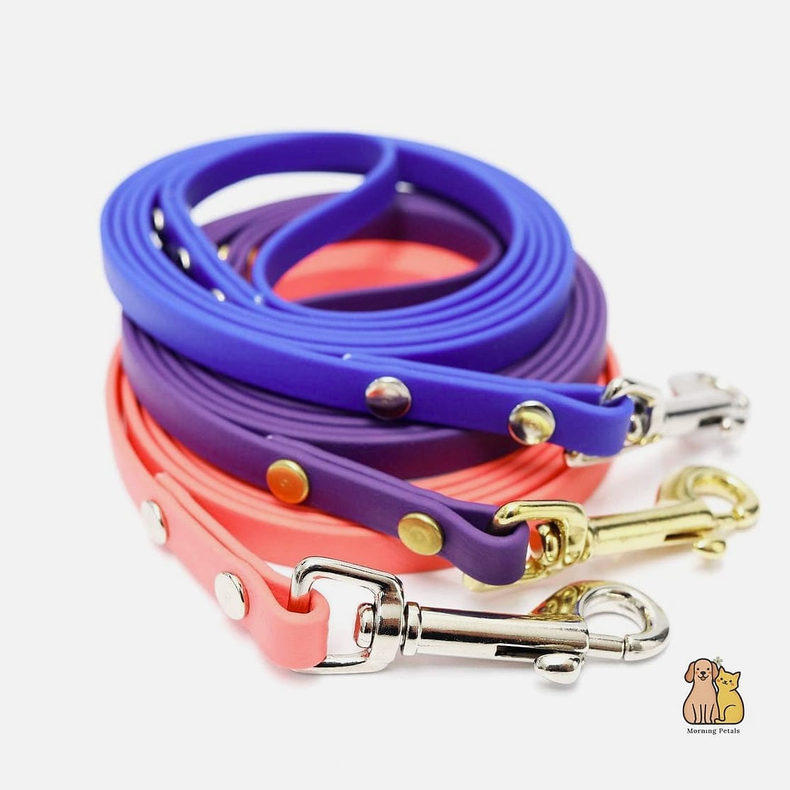 The Waterproof Leash for Beach and Trail Days