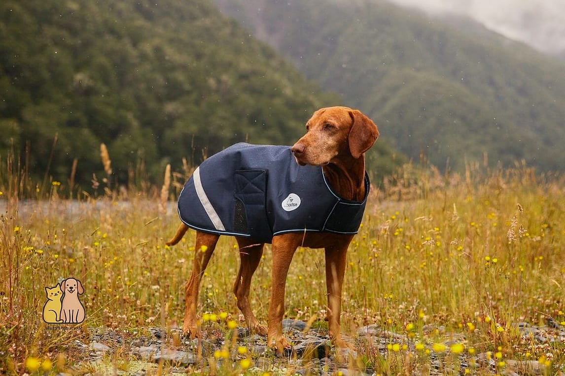 The Waterproof Shell With Fleece Lining