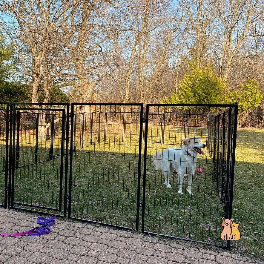 Welded Wire Mesh Fencing