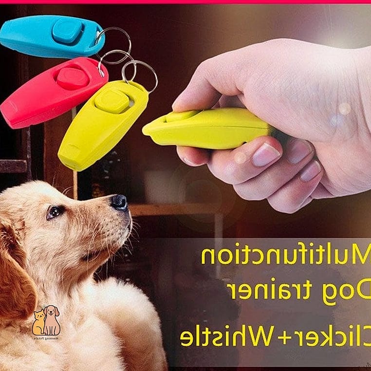 19 Adorable Best Dog Whistles Guaranteed to Make You Smile 8 The Whistle and Clicker Combo